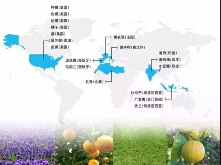 提神鼻吸真的可以防晕车吗,防晕车鼻吸推荐