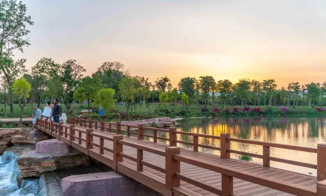 弥勒美食必吃推荐,云南弥勒美食野生菌