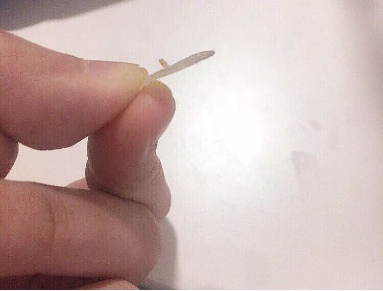 OMG!均价只要30元!这23款屈臣氏好物,明星都爱用