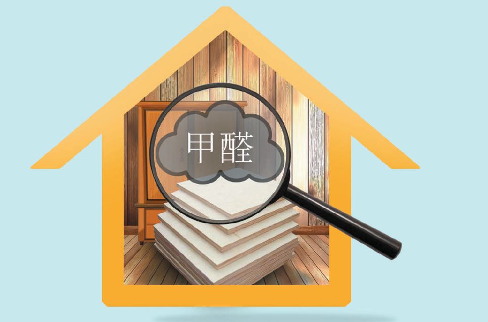 大王椰板材与莫干山的甲醛对比,大王椰和莫干山的板材哪个好