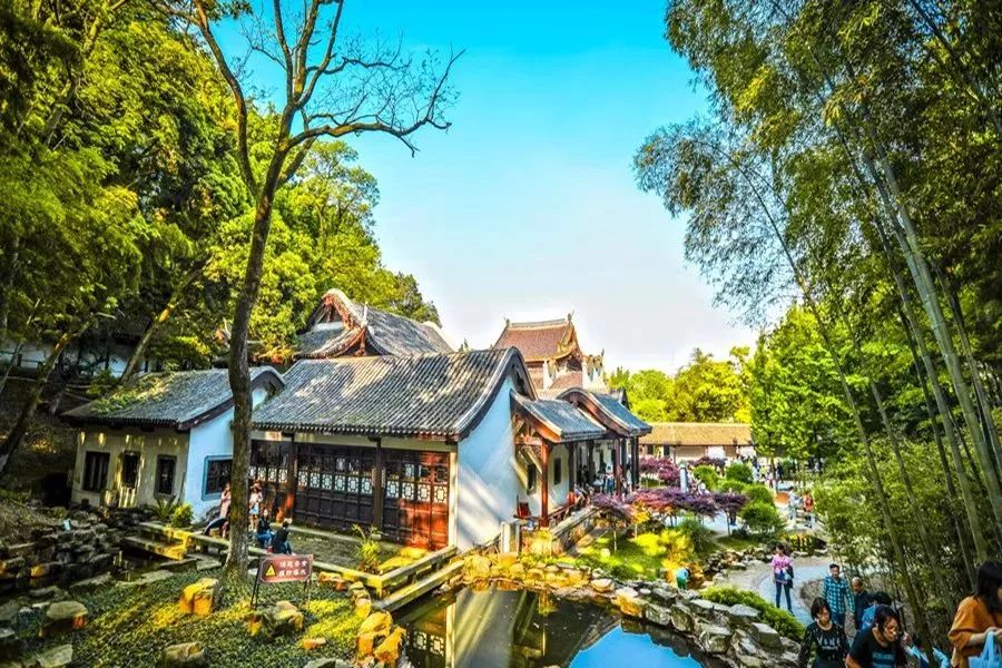 5鏈堜唤鏈虹エ浣庤嚦鐧借彍浠蜂粠瑗垮畨鍑哄彂,10鏈堢櫧鑿滀环鏈虹エ瑗垮畨鍑哄彂