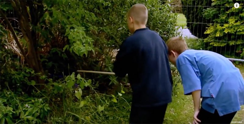 没有大人只有孩子一起住,没大人管的小孩