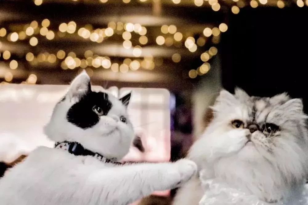 必去的茶馆推荐,上海古色古香茶馆推荐