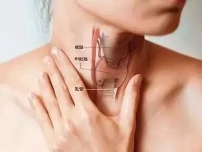 经常掉发应该看什么科,什么疾病能够引起掉发