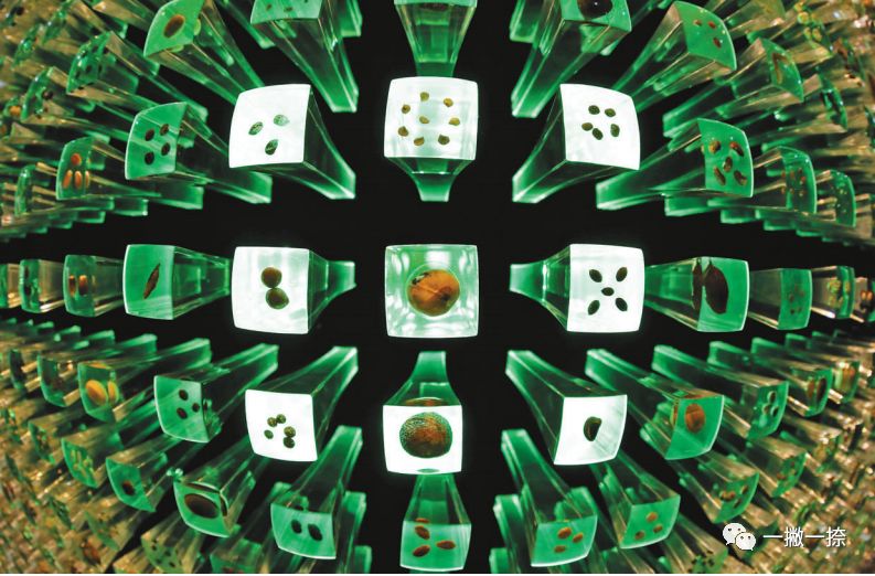 人民日报最经典的照片,人民日报年度好照片