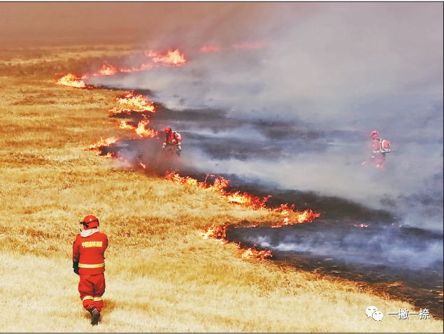 人民日报最经典照片,人民日报最惊艳的图片