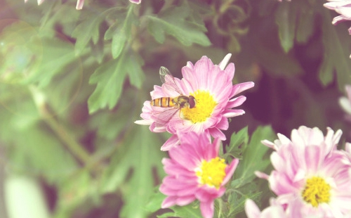 1975年属兔何时走大运,1975年属兔买彩票数字