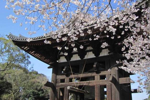 日本劳务签证有可能被拒吗,日本签证被拒怎么办