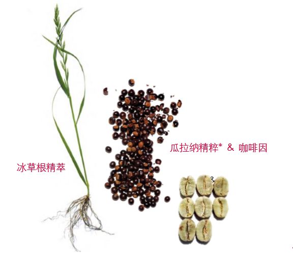 揭秘|弘叔悄悄话：吃了防腐剂般的美貌都是这么来的