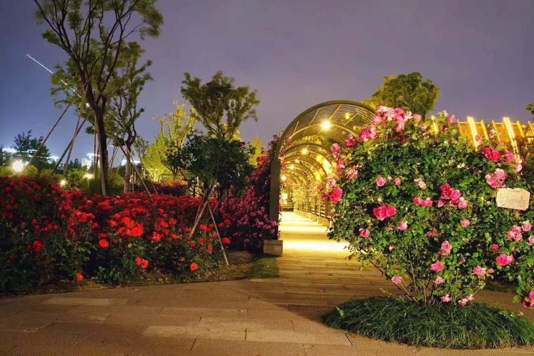 滨江区白马湖,白马湖的传说