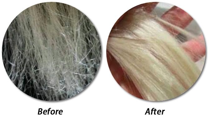 历尽千帆归来仍是美少女,历尽千帆归来仍是少女的下一句