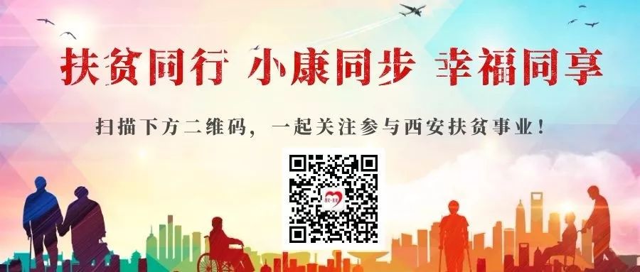 拾花工赴疆采摘美好“钱”景