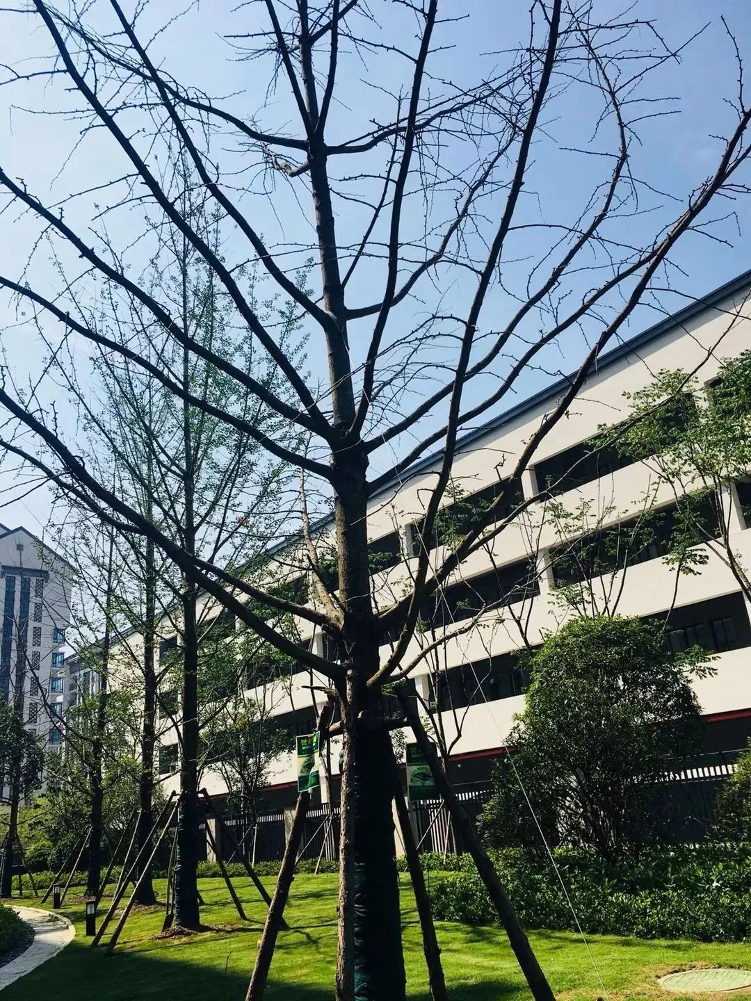 鍐涜繍鏉戣繍鍔ㄥ憳浣忓,鍖椾含鍐涜繍鏉戣繍鍔ㄥ憳鍏瘬