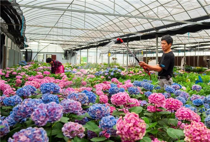 视觉一周,视觉眼镜张家港