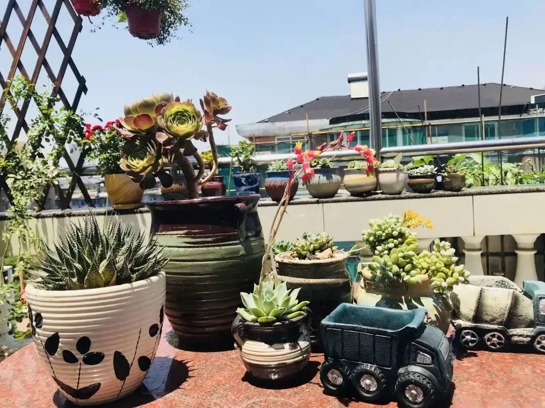 打造美好幸福的家,打造一片天地