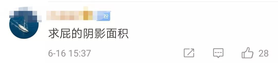 硕士论文被质疑了,硕士论文被批得很惨