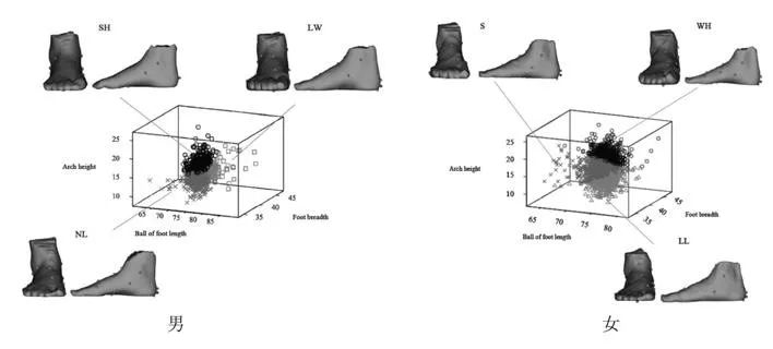 罗马脚希腊脚埃及脚各是什么特点,埃及脚罗马脚希腊脚哪种脚比较多