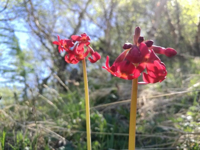 蔚县茶山风景图片大全,蔚县茶山村风景