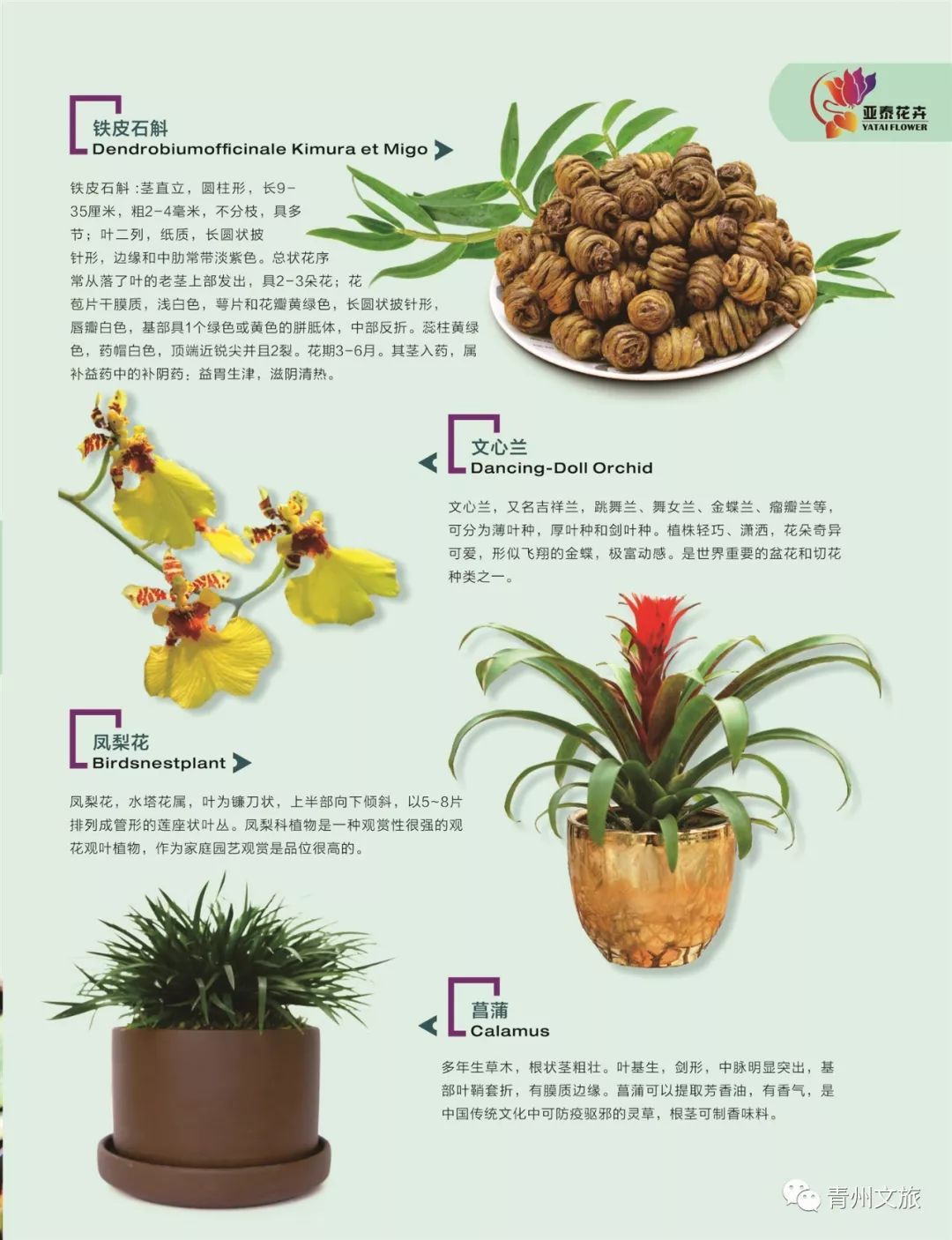 青州有什么商品,青州旅游购物