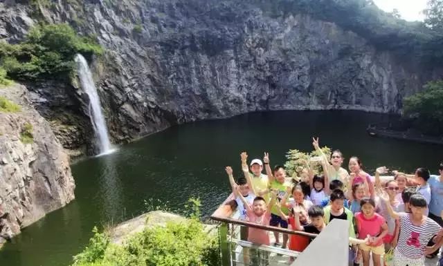 辰山植物园最近有什么活动,动植物园夏令营