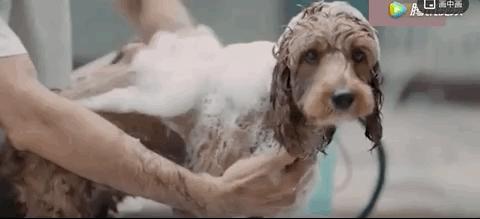 我终于战胜了抑郁症,感谢医生治好了抑郁症