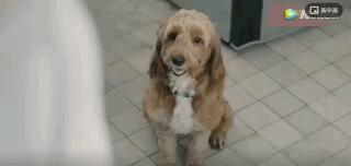 我终于战胜了抑郁症,感谢医生治好了抑郁症