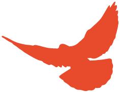 不一样的国庆献礼，福州警宝画出对祖国的爱