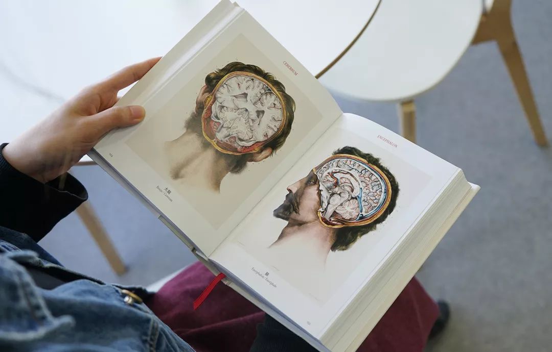 我就不信，只有我一个人想试试人体解剖丨好物推荐