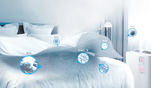 这个乳胶枕太强了！止鼾、防螨虫，全家适用的睡眠伴侣