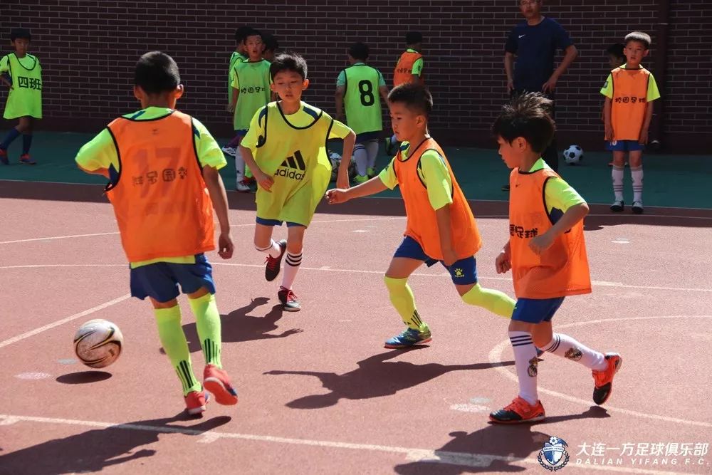 蓝队青训国青,中国青训与国外青训