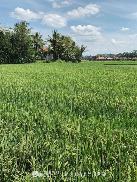 亲身体验刺绣,蜡染体验中国非遗