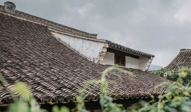 这座跟着周杰伦空降热搜的杨梅味小城,休渔期也能让你吃得满嘴鲜