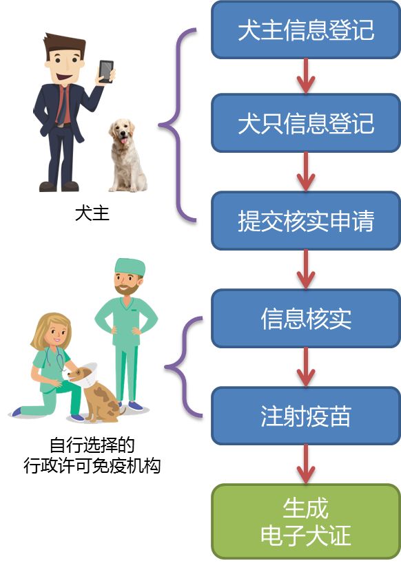 淄博市狗狗怎么办理犬证,不知道自己养的什么狗怎么办狗证