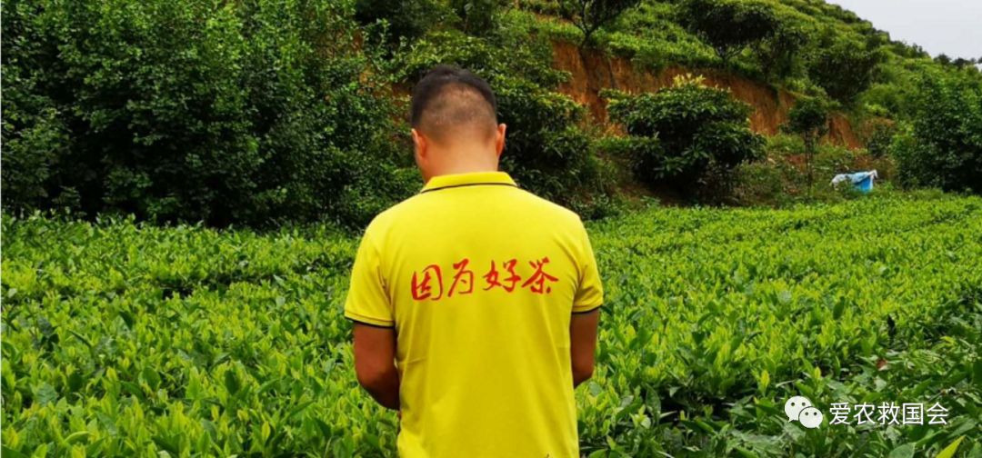 宀╄尪鍒惰尪鏁欏,鍒惰尪宸ヨ壓涓庤尪鏂囧寲