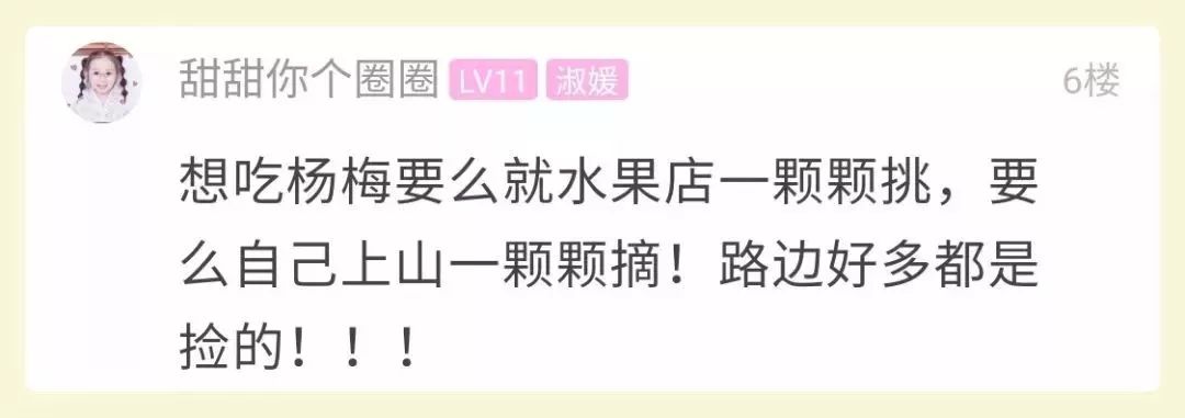 在路边买杨梅注意事项,在路边卖杨梅