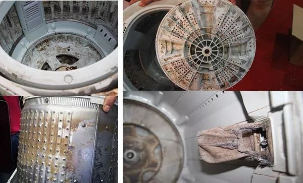 它的菌含量居然是马桶的530倍，你还在每天用