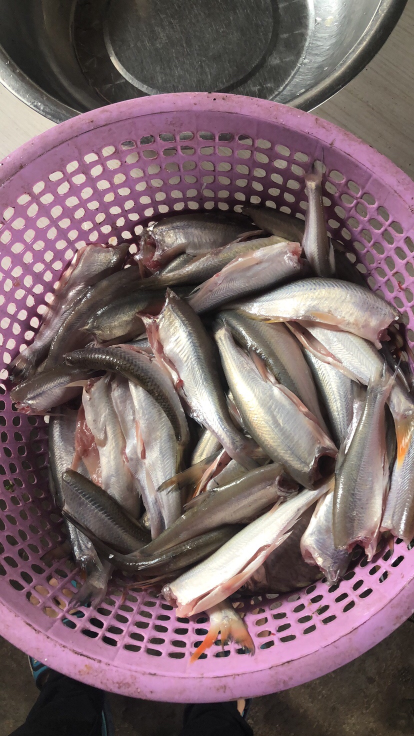 初春河流大水面野钓,大水面滑漂野钓
