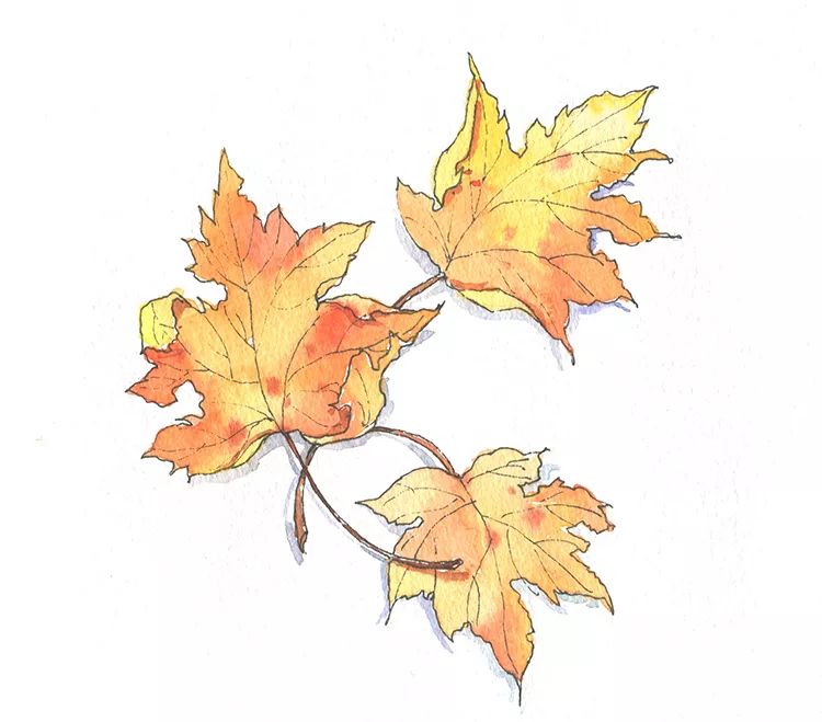 每天5分钟就能缓解你的压力,每天晚上给自己五分钟来释放压力