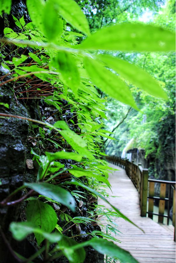 贵阳夏天气温最高多少,贵阳夏天最高气温是多少度