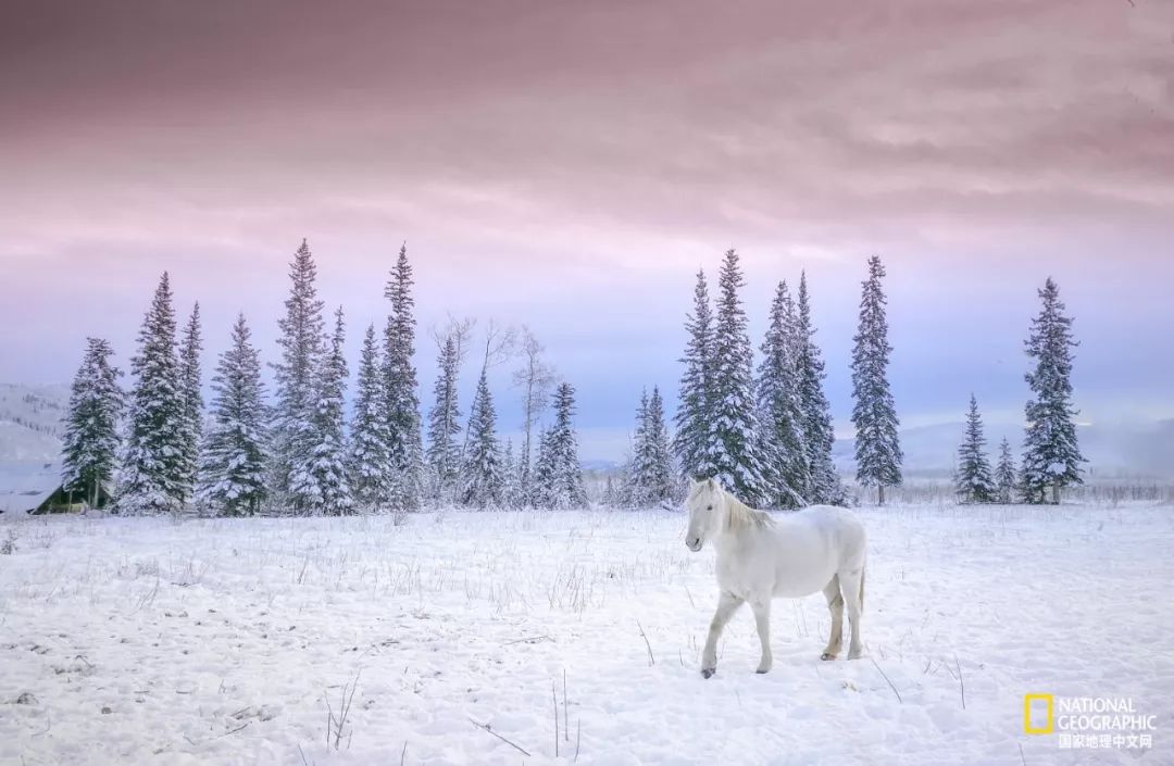 这10件事摄影新手一定要懂,对于热爱摄影的你来说最大的遗憾