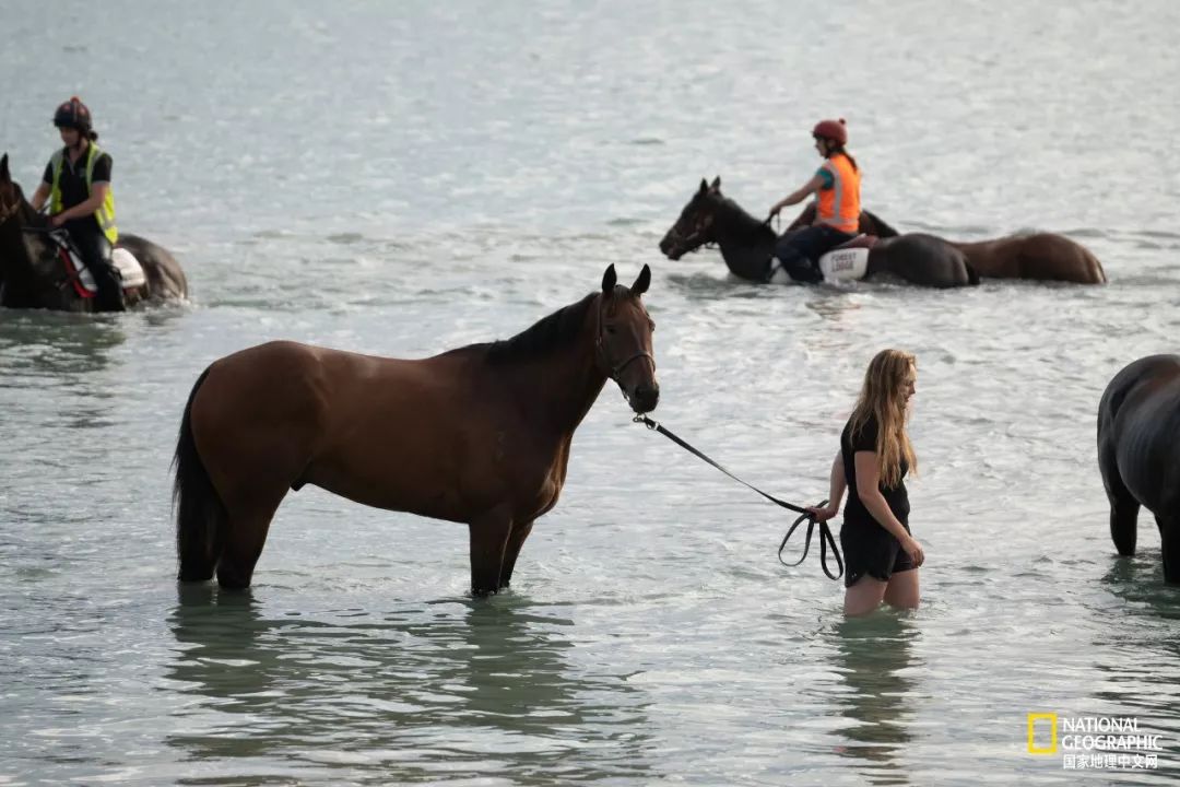 热爱摄影热爱跑步热爱生活,如果你热爱拍照