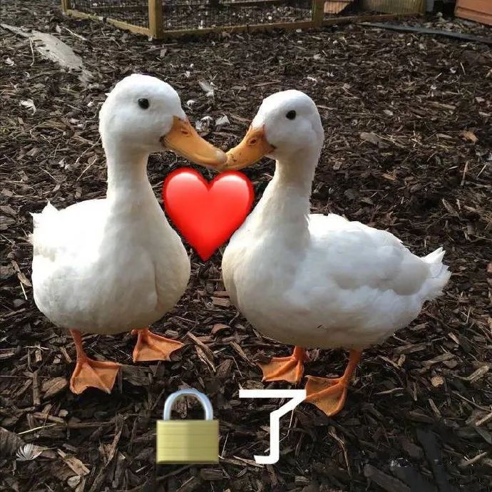 好物|头皮发麻！没有它我真的连衣服都不敢穿了