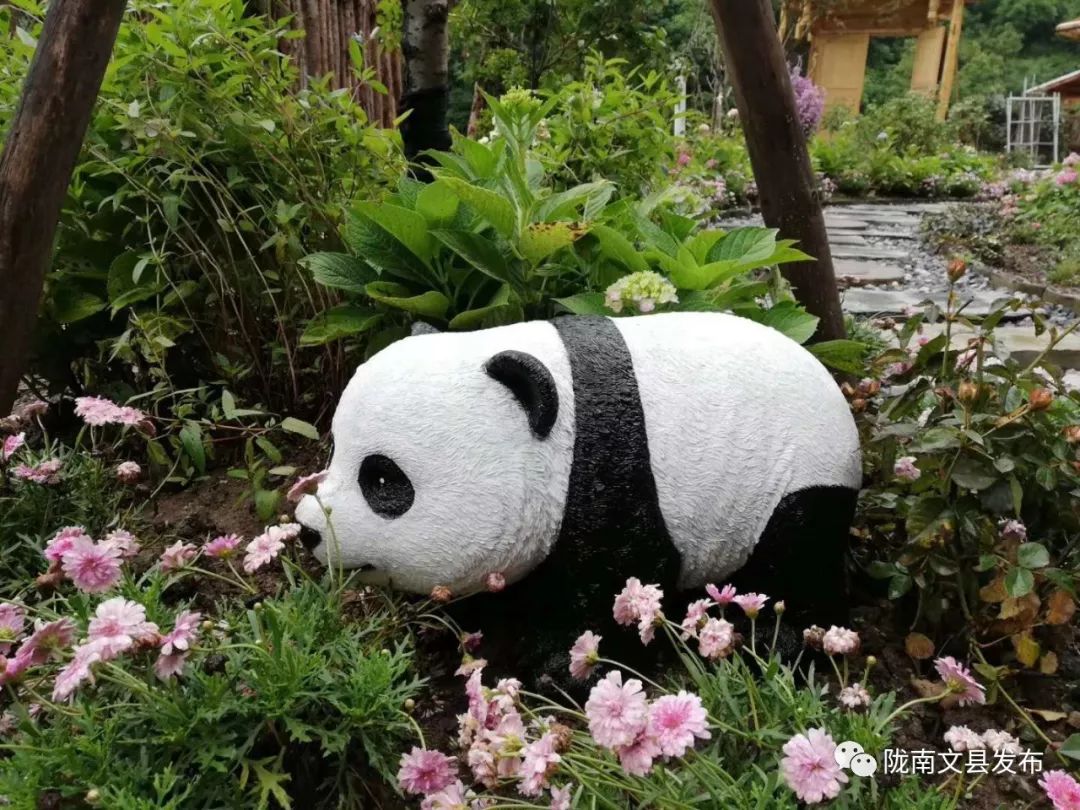 拆危治乱进行时|文县铁楼藏族乡：拆出民俗靓景区治出富裕新生活