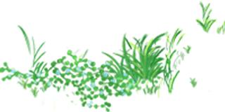 海纳百创普陀区垂直路演中心,上海黄浦区海纳百创路演中心