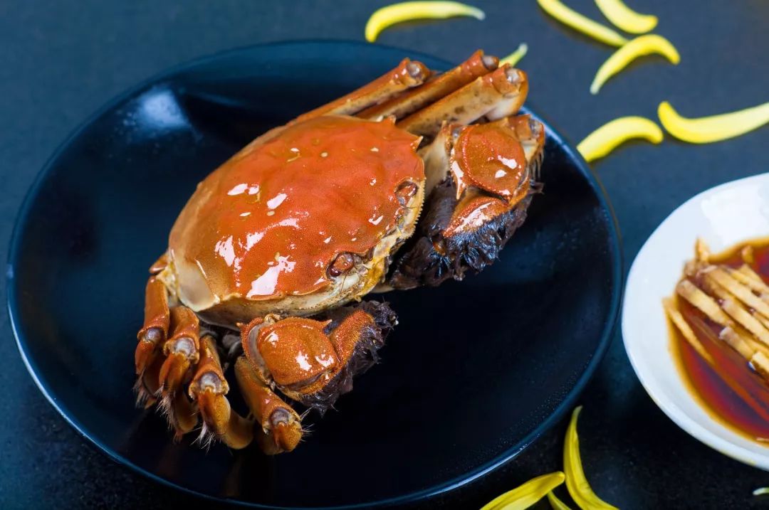 鱼丸是鱼蛋么,鱼丸里面为什么没有鱼