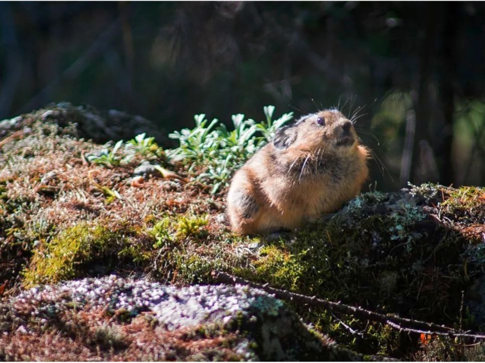 2.5浜垮勾鍚庣殑鍦扮悆鍙樺寲,涓滃寳鐏北鎬庝箞鍙樻垚绮粨