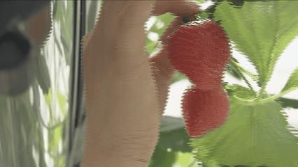 夏邑县美丽乡村介绍,美丽乡村之全景地图夏邑