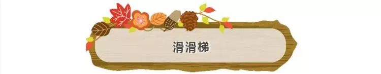 普通门票疯狂动物城,假期打卡疯狂动物城