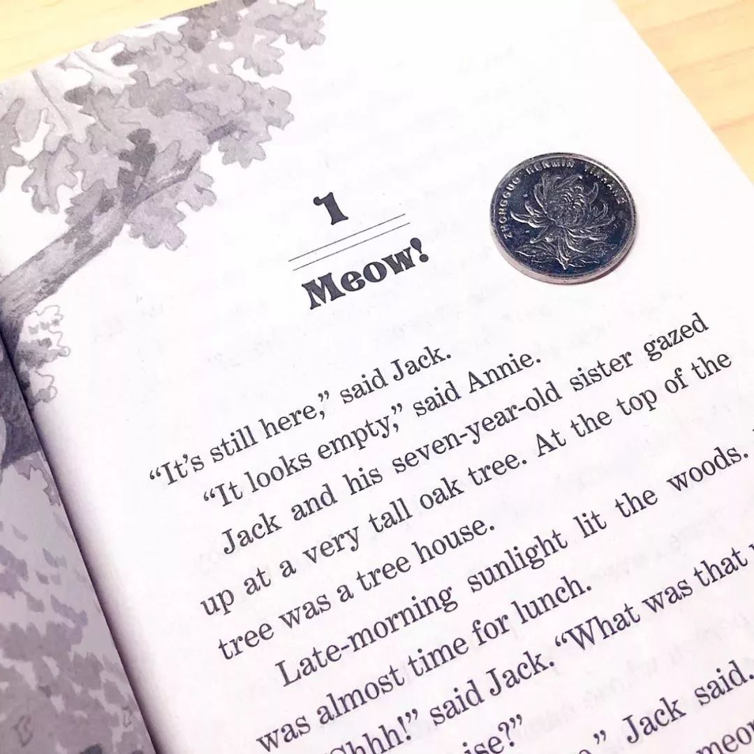 树屋英文原版书单推荐,英文童书神秘树屋