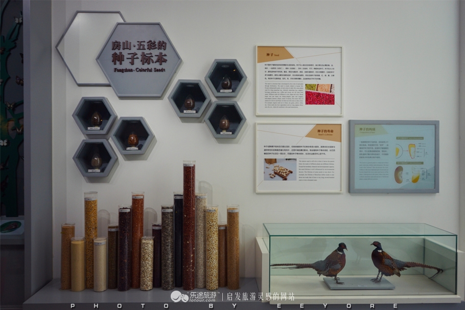 鎴垮北瀵诲彜涔嬫梾,鎴垮北瀵诲彜鎺㈠菇